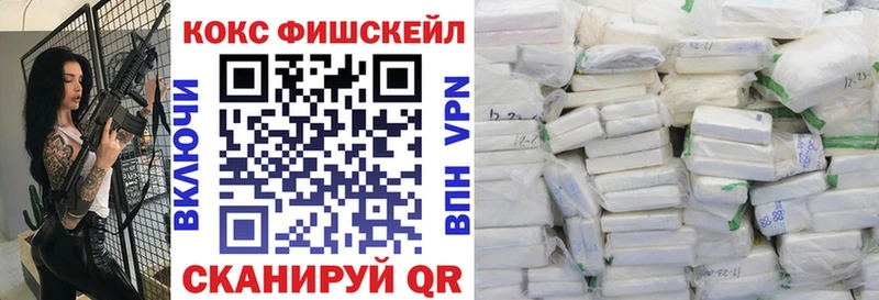 закладки  Юрга  COCAIN Fish Scale 