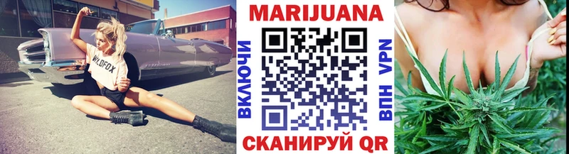 Канабис план  Юрга 
